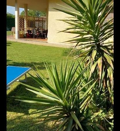 Green Garden Viareggio Luaran gambar