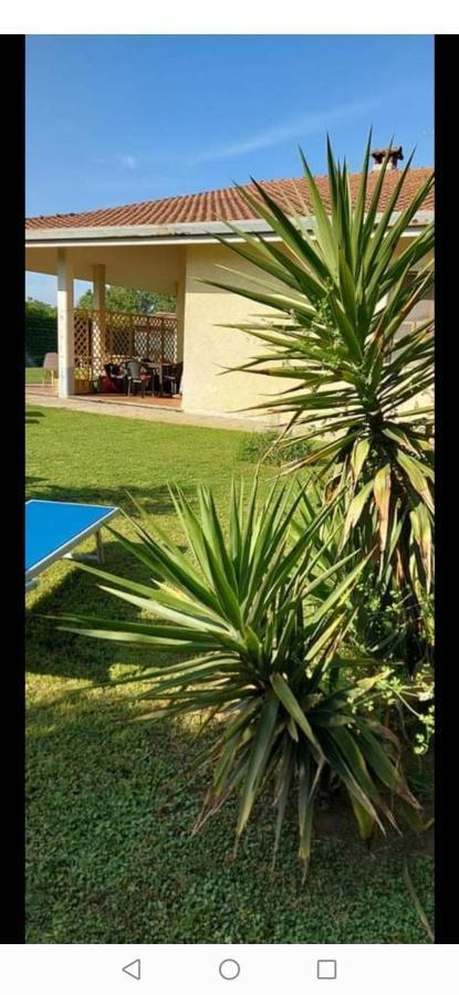 Green Garden Viareggio Luaran gambar